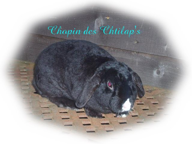 Chopin